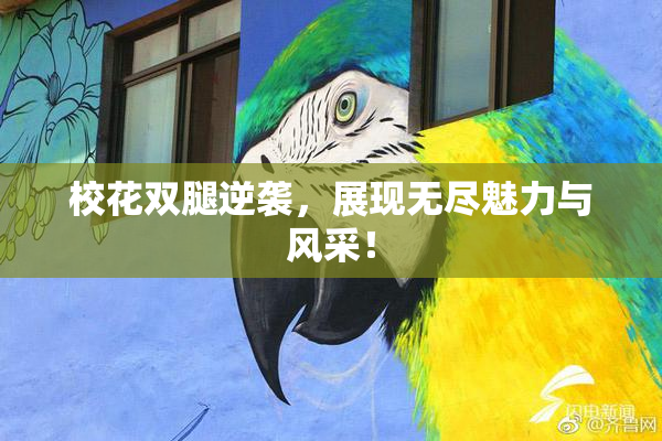 校花双腿逆袭，展现无尽魅力与风采！