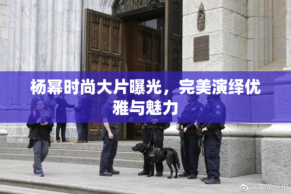 杨幂时尚大片曝光，完美演绎优雅与魅力