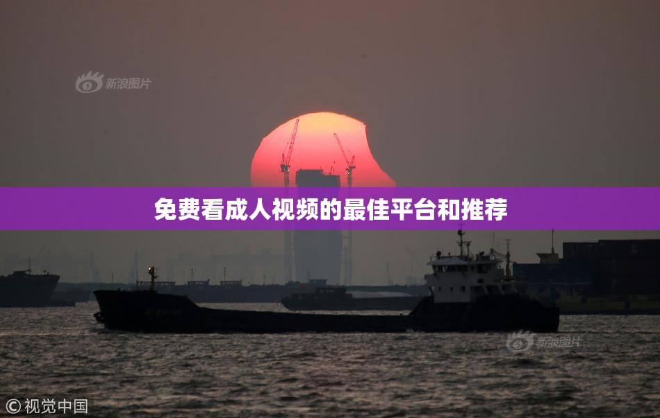 免费看成人视频的最佳平台和推荐
