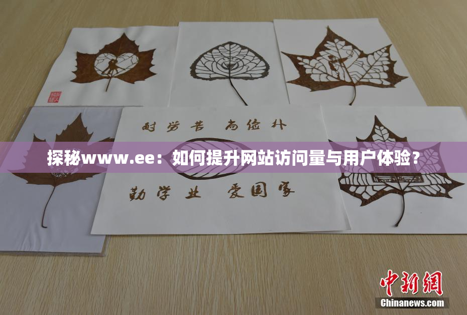 探秘www.ee：如何提升网站访问量与用户体验？