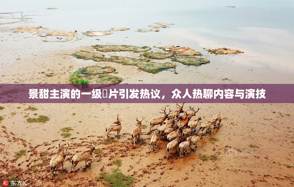 景甜主演的一级婬片引发热议，众人热聊内容与演技