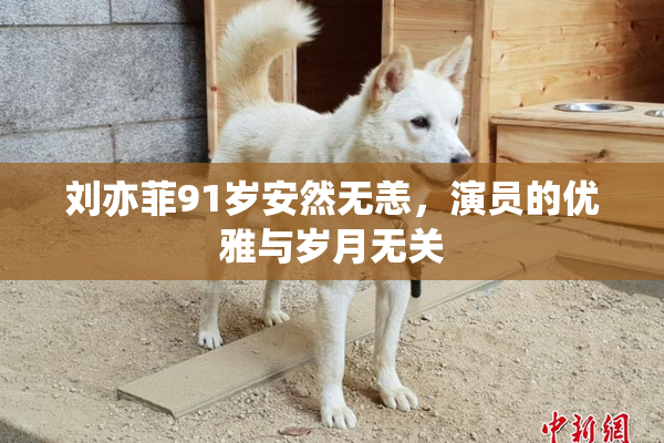 刘亦菲91岁安然无恙，演员的优雅与岁月无关