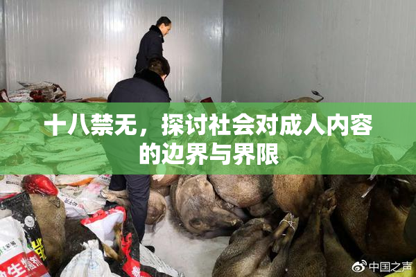 十八禁无，探讨社会对成人内容的边界与界限