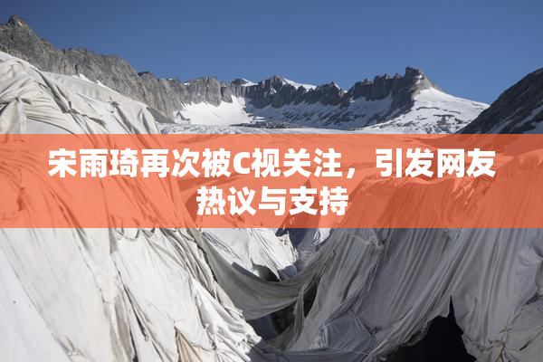 宋雨琦再次被C视关注，引发网友热议与支持
