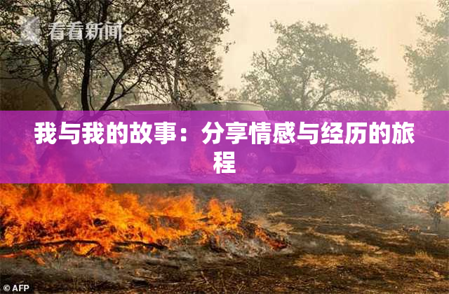 我与我的故事：分享情感与经历的旅程