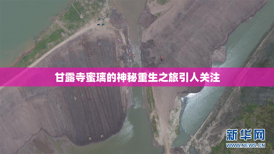 甘露寺蜜璃的神秘重生之旅引人关注