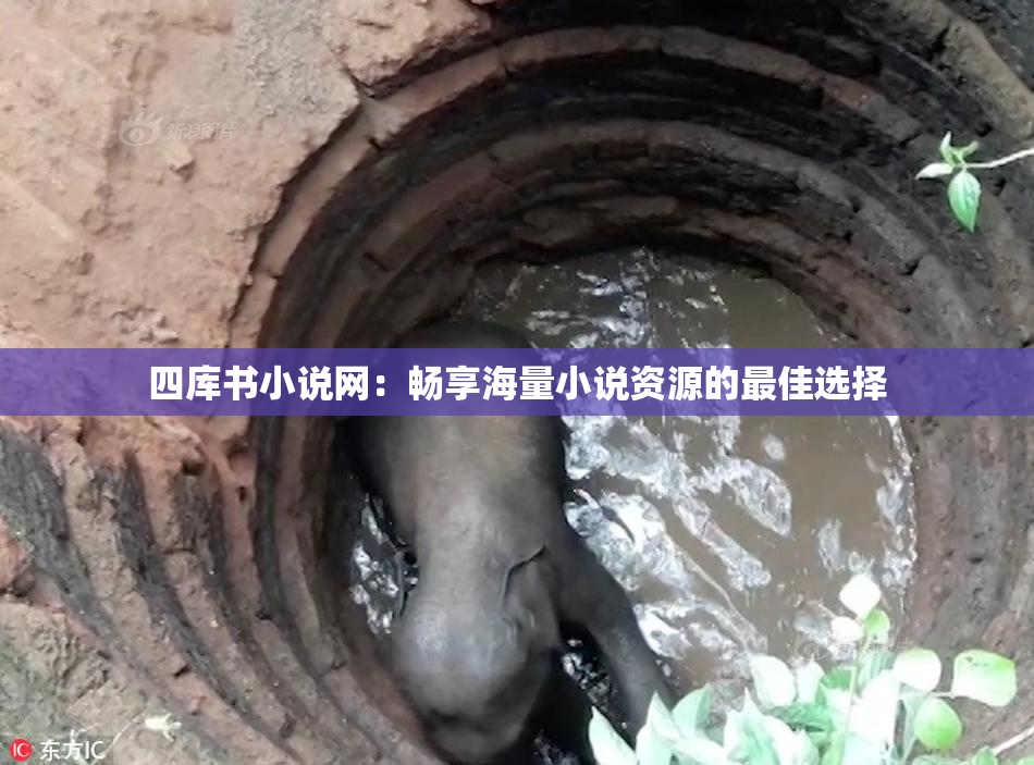 四库书小说网：畅享海量小说资源的最佳选择