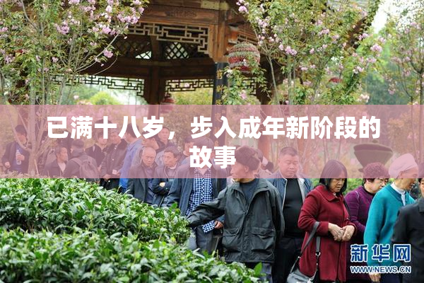 已满十八岁，步入成年新阶段的故事