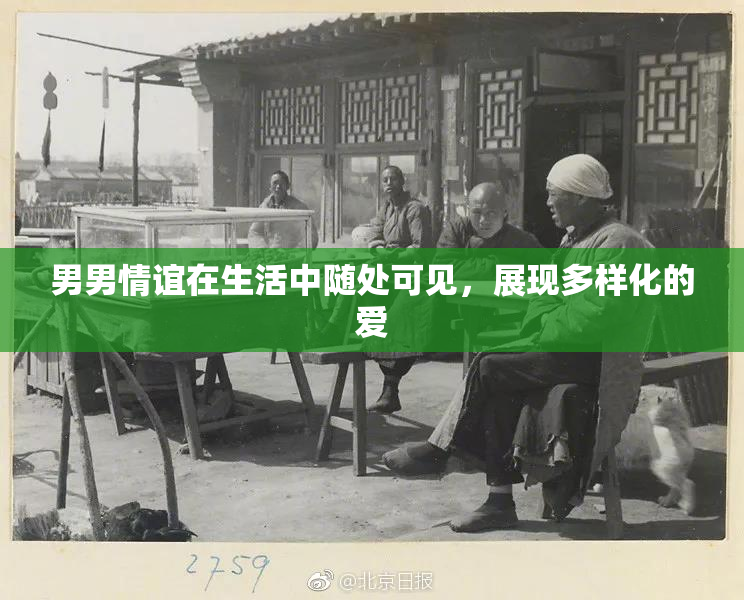 男男情谊在生活中随处可见，展现多样化的爱