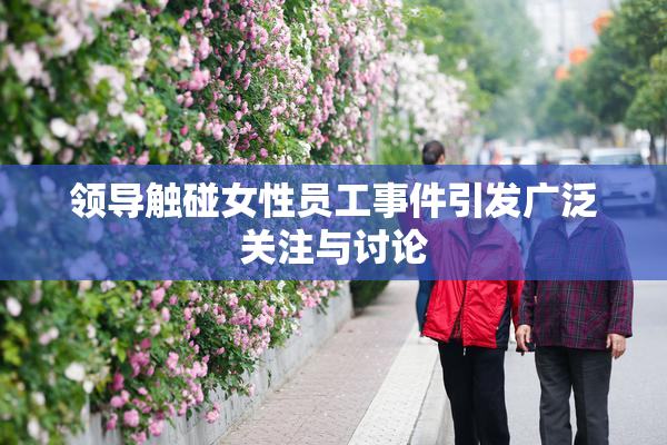 领导触碰女性员工事件引发广泛关注与讨论