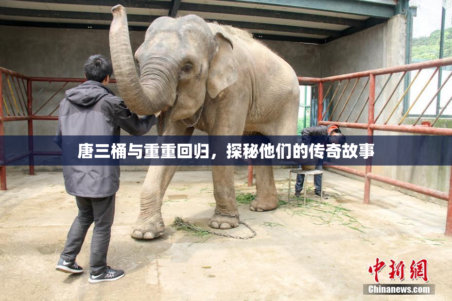 唐三桶与重重回归，探秘他们的传奇故事