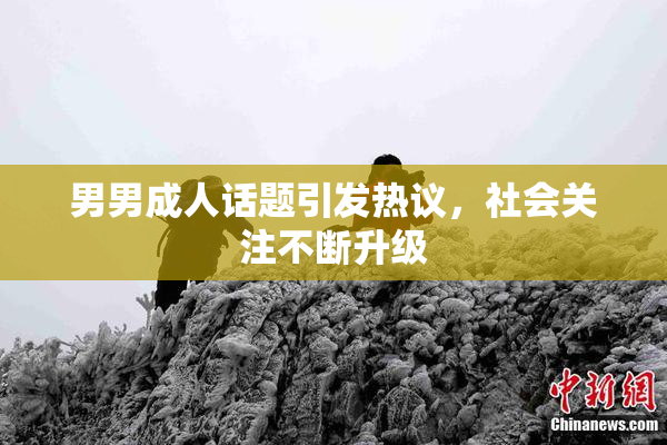 男男成人话题引发热议，社会关注不断升级