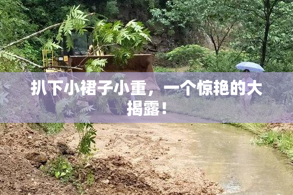 扒下小裙子小重，一个惊艳的大揭露！