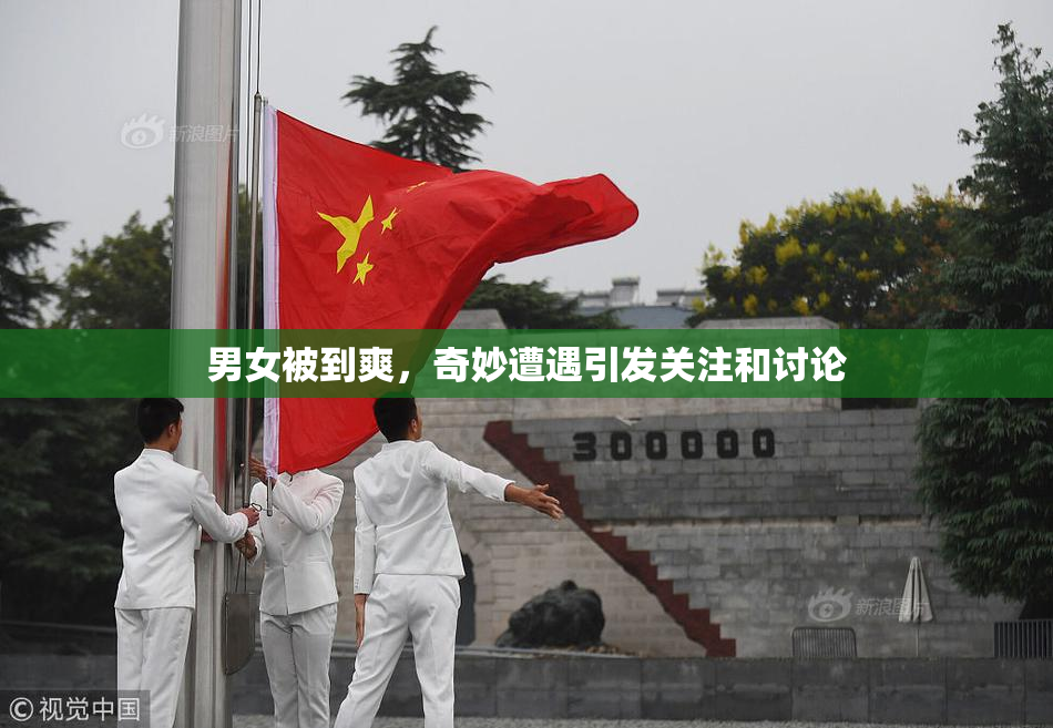 男女被到爽，奇妙遭遇引发关注和讨论