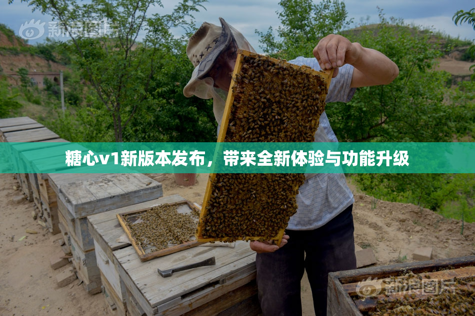 糖心v1新版本发布，带来全新体验与功能升级