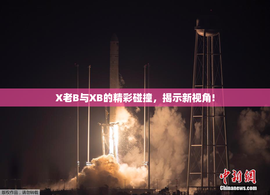 X老B与XB的精彩碰撞，揭示新视角!