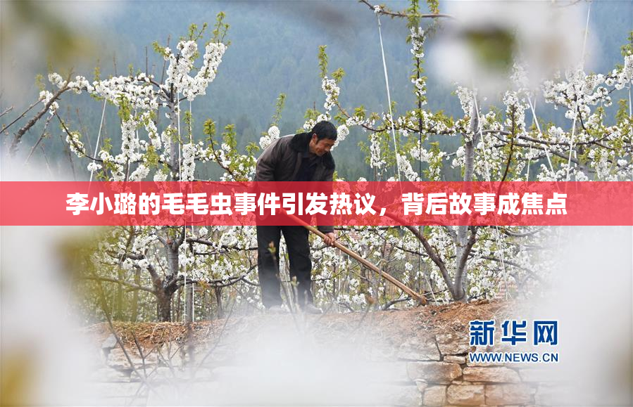 李小璐的毛毛虫事件引发热议，背后故事成焦点