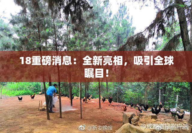 18重磅消息：全新亮相，吸引全球瞩目！