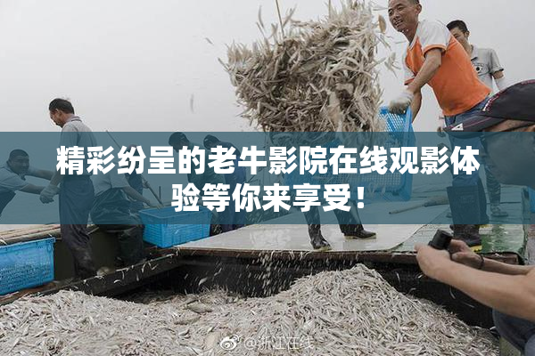 精彩纷呈的老牛影院在线观影体验等你来享受！