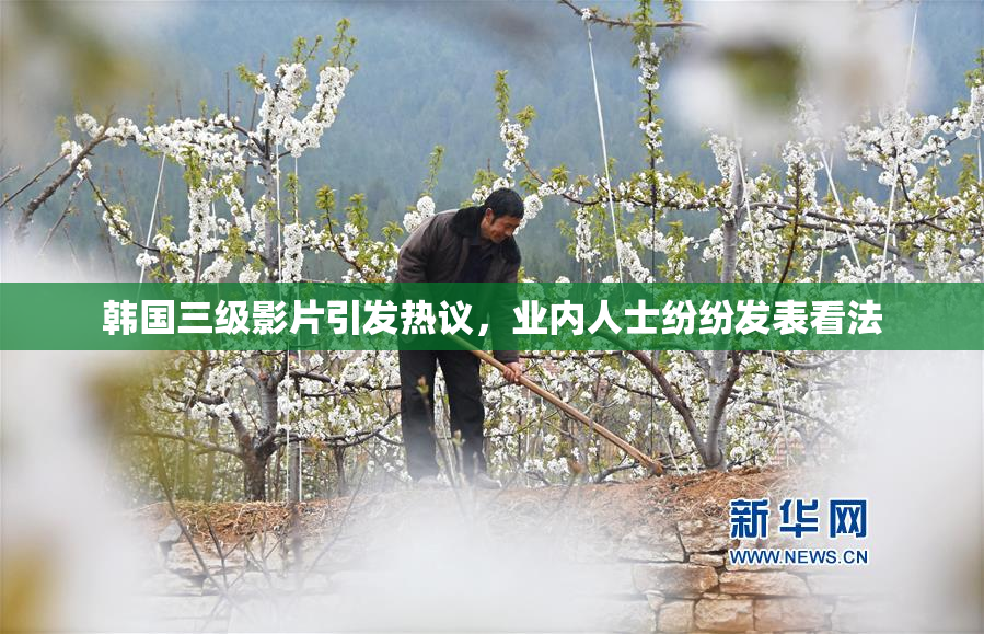 韩国三级影片引发热议，业内人士纷纷发表看法
