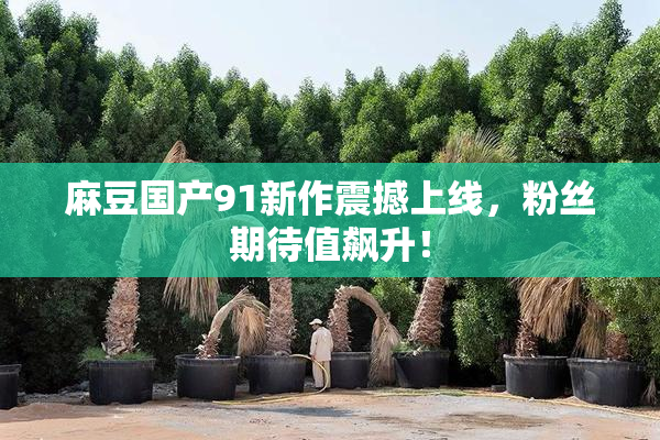麻豆国产91新作震撼上线，粉丝期待值飙升！