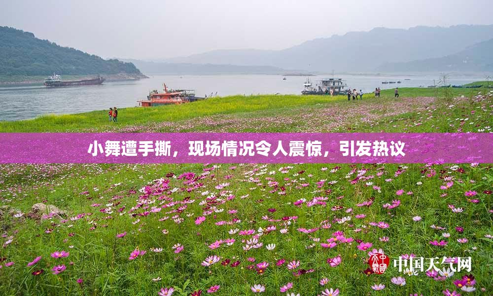 小舞遭手撕，现场情况令人震惊，引发热议