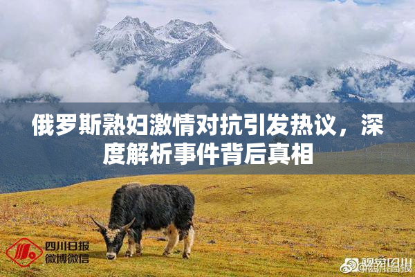 俄罗斯熟妇激情对抗引发热议，深度解析事件背后真相