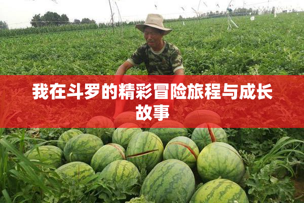 我在斗罗的精彩冒险旅程与成长故事