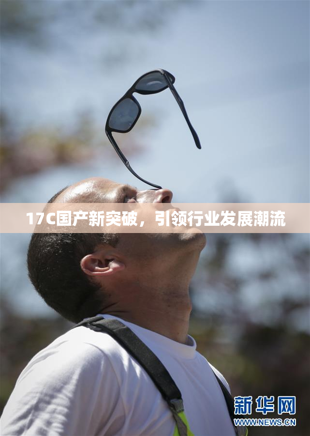 17C国产新突破，引领行业发展潮流