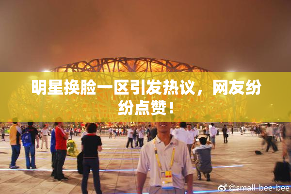 明星换脸一区引发热议，网友纷纷点赞！