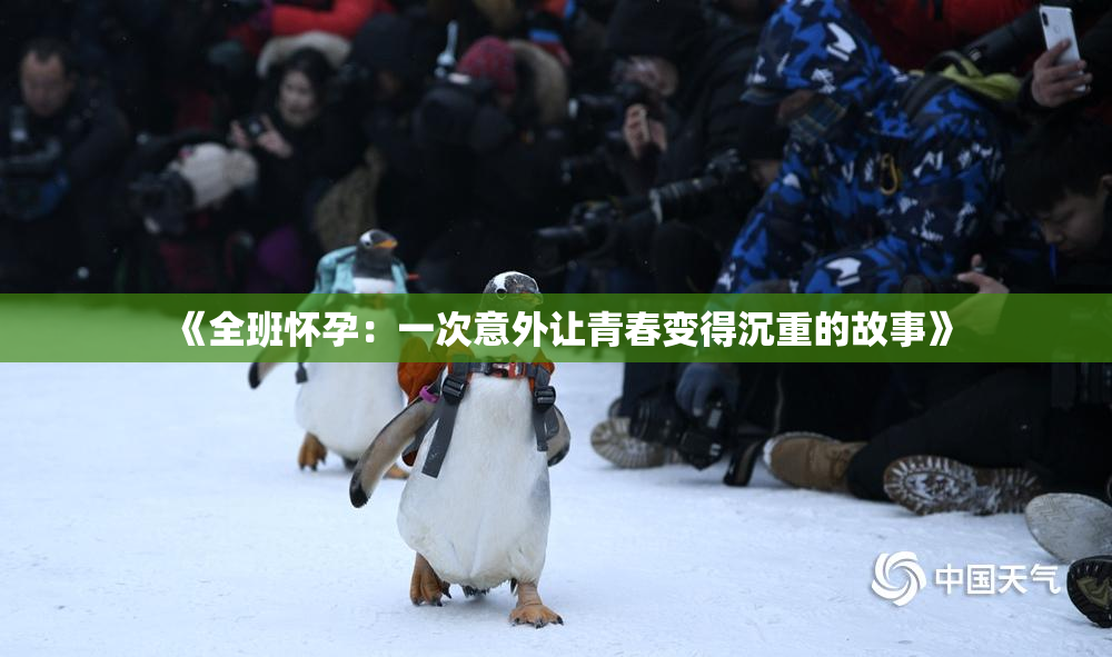 《全班怀孕：一次意外让青春变得沉重的故事》