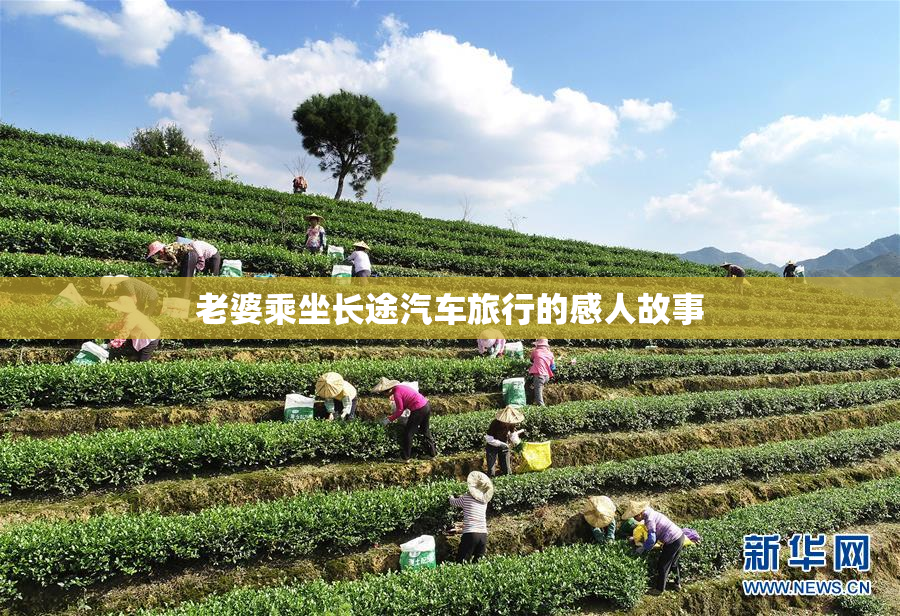 老婆乘坐长途汽车旅行的感人故事