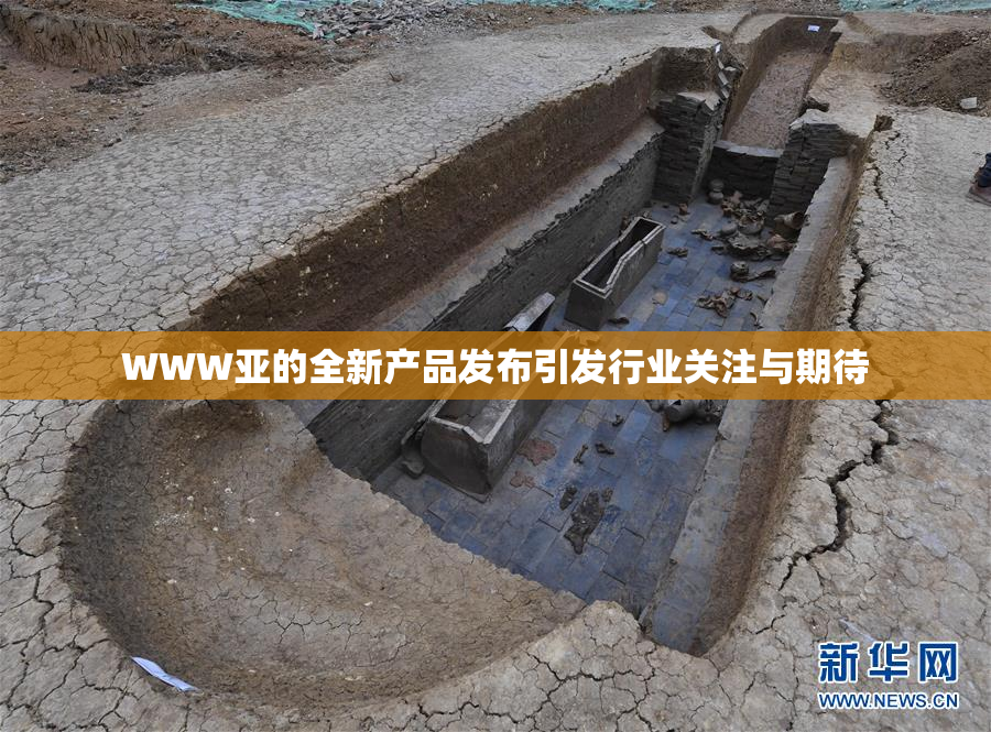 WWW亚的全新产品发布引发行业关注与期待