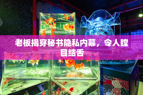 老板揭穿秘书隐私内幕，令人瞠目结舌