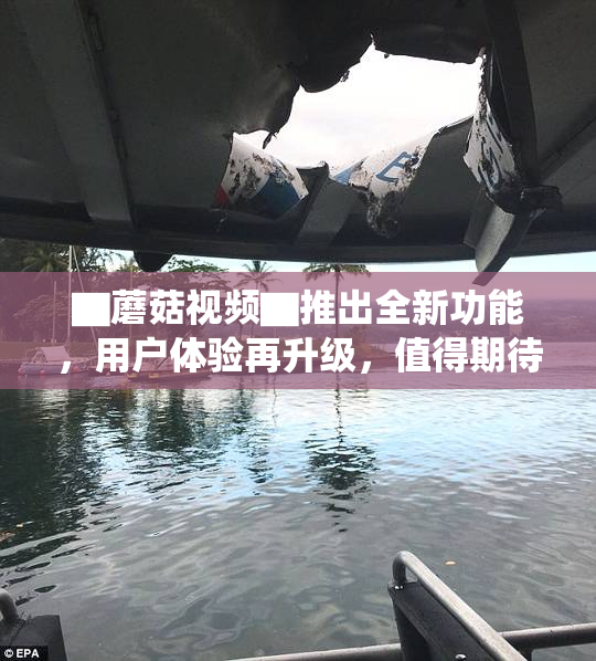 ▇蘑菇视频▇推出全新功能，用户体验再升级，值得期待！