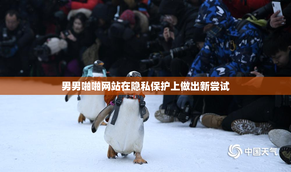 男男啪啪网站在隐私保护上做出新尝试