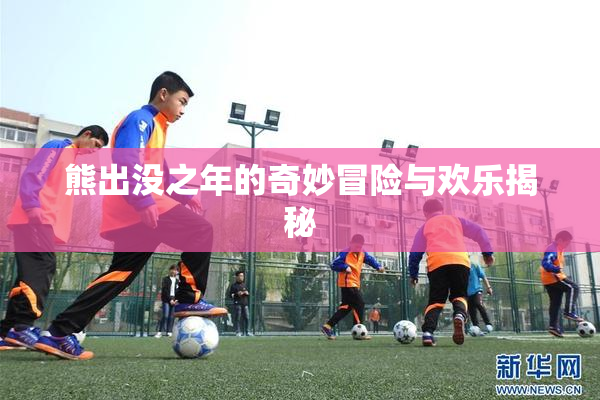 熊出没之年的奇妙冒险与欢乐揭秘