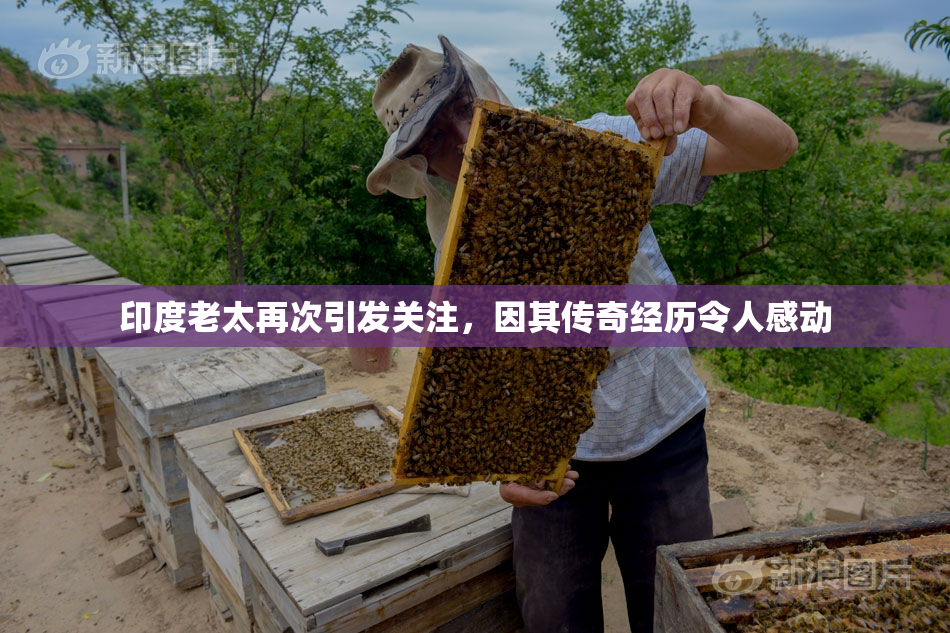 印度老太再次引发关注，因其传奇经历令人感动