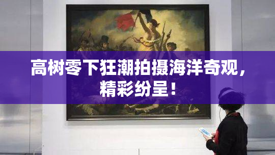 高树零下狂潮拍摄海洋奇观，精彩纷呈！