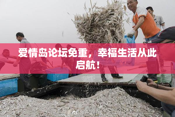 爱情岛论坛免重，幸福生活从此启航！
