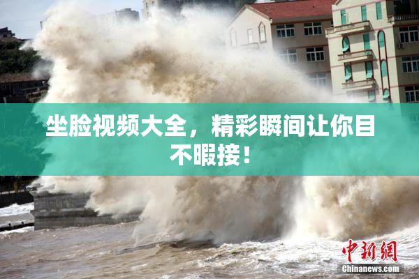 坐脸视频大全，精彩瞬间让你目不暇接！