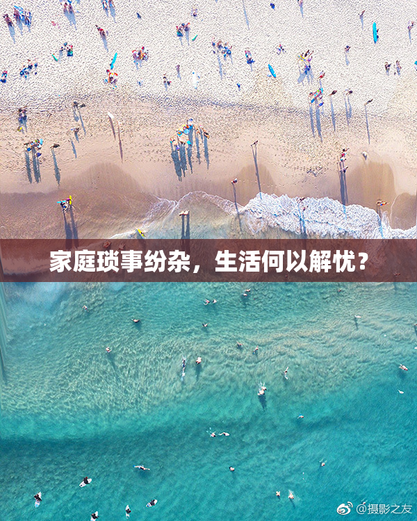 家庭琐事纷杂，生活何以解忧？