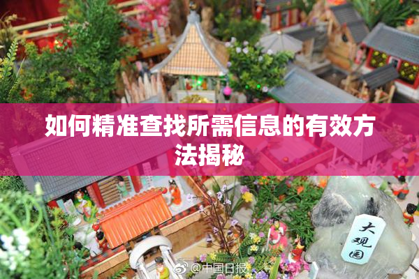 如何精准查找所需信息的有效方法揭秘