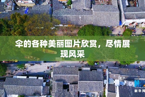 伞的各种美丽图片欣赏，尽情展现风采