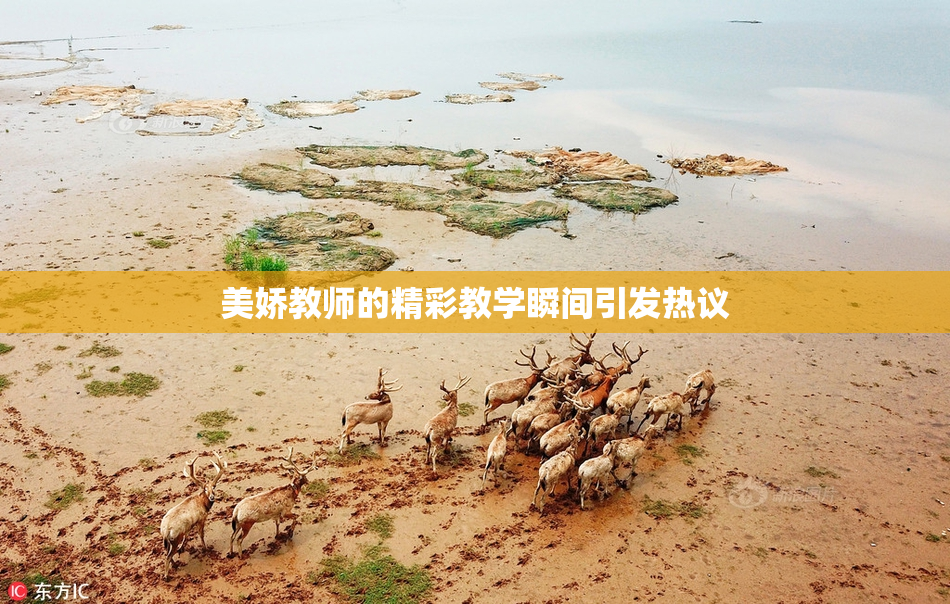 美娇教师的精彩教学瞬间引发热议