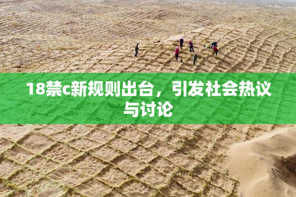 18禁c新规则出台，引发社会热议与讨论