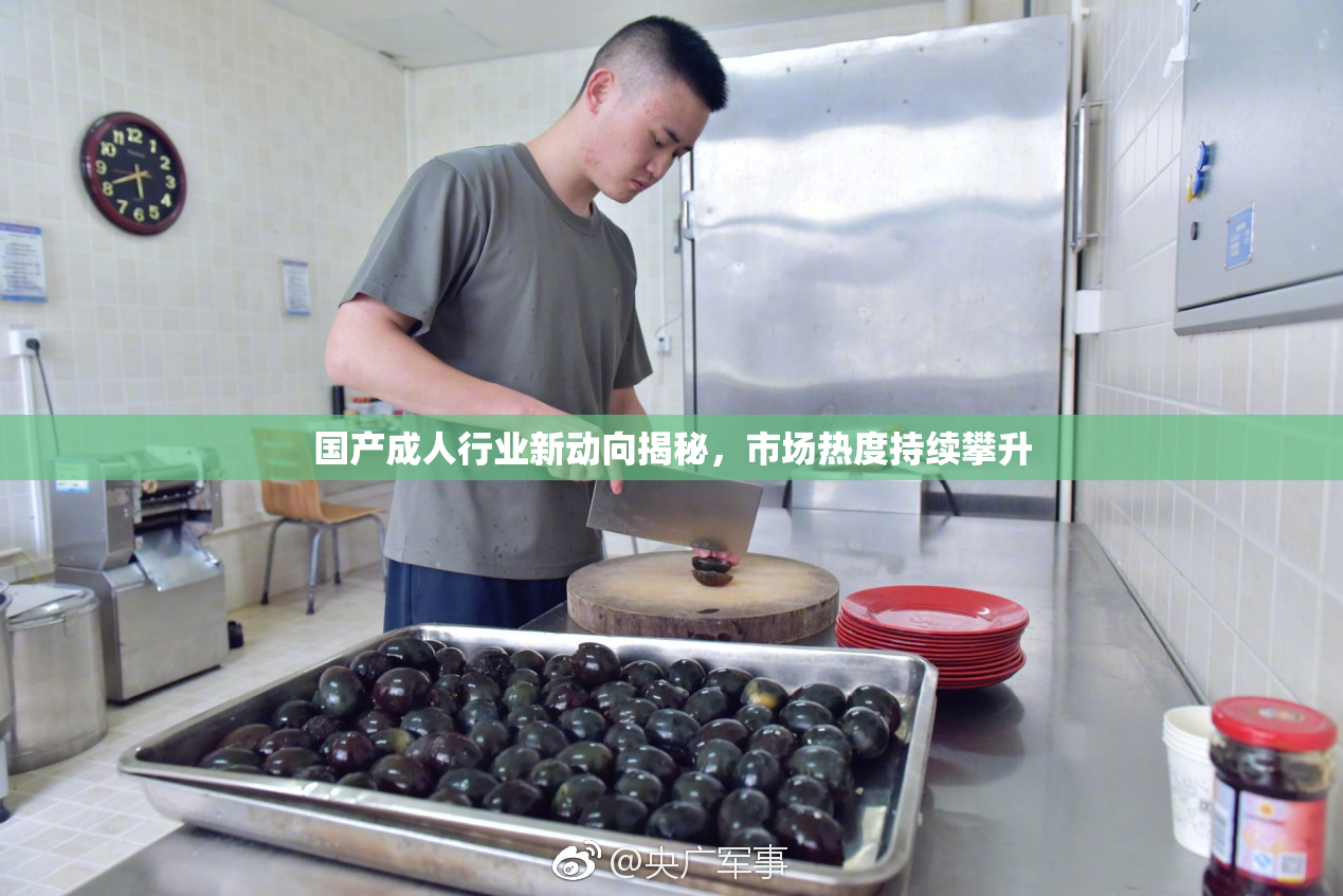 国产成人行业新动向揭秘，市场热度持续攀升