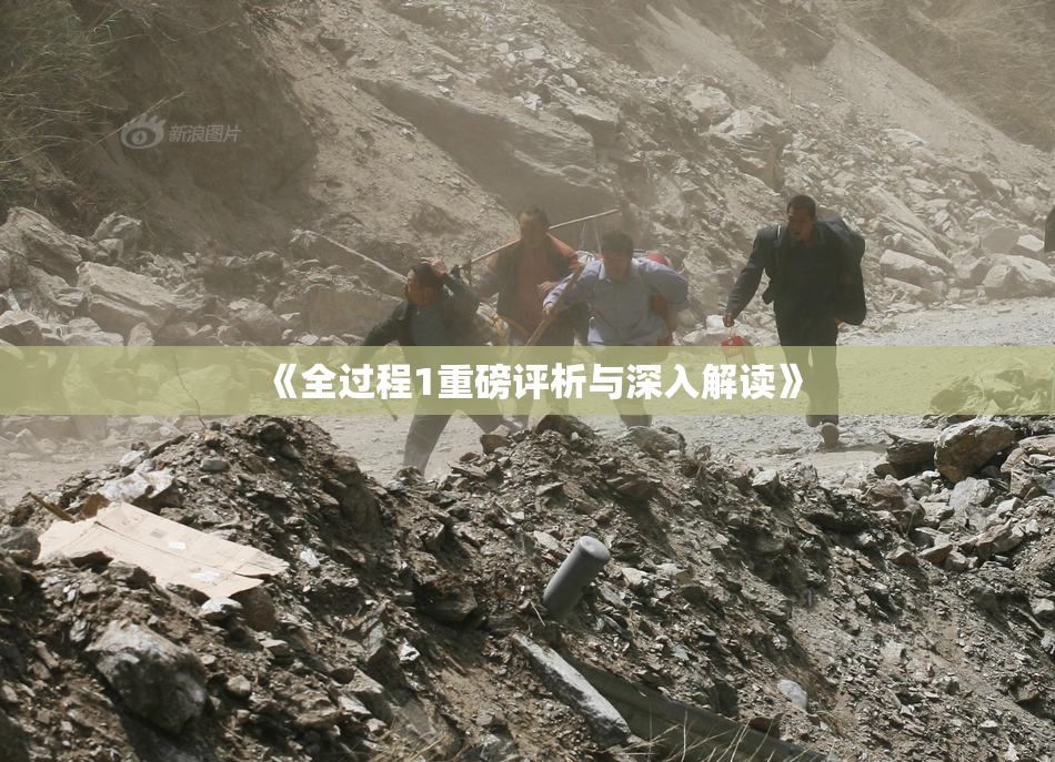 《全过程1重磅评析与深入解读》