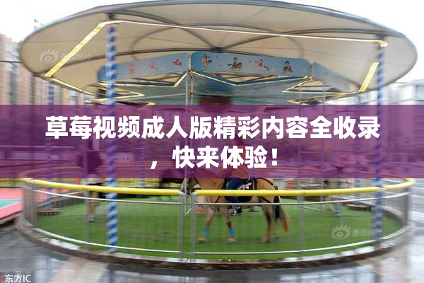 草莓视频成人版精彩内容全收录，快来体验！