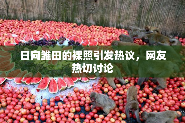 日向雏田的裸照引发热议，网友热切讨论